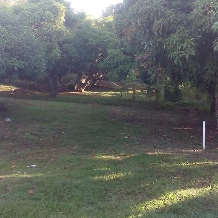 Baillif Residences Aux Saveurs Des Mangues מראה חיצוני תמונה